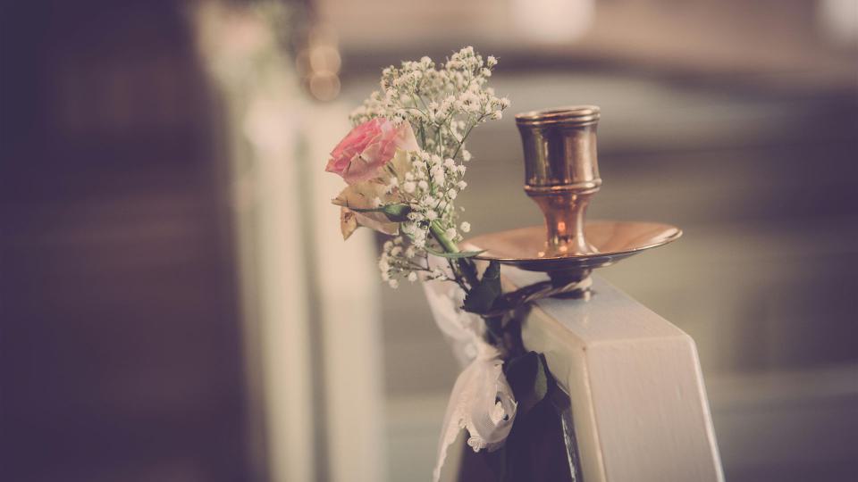 Weiße Und Rosa Rose